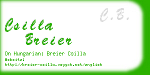 csilla breier business card